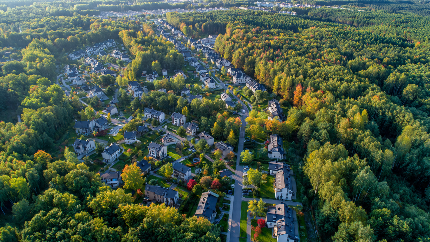 zielonka_zamek_3662d117.jpg