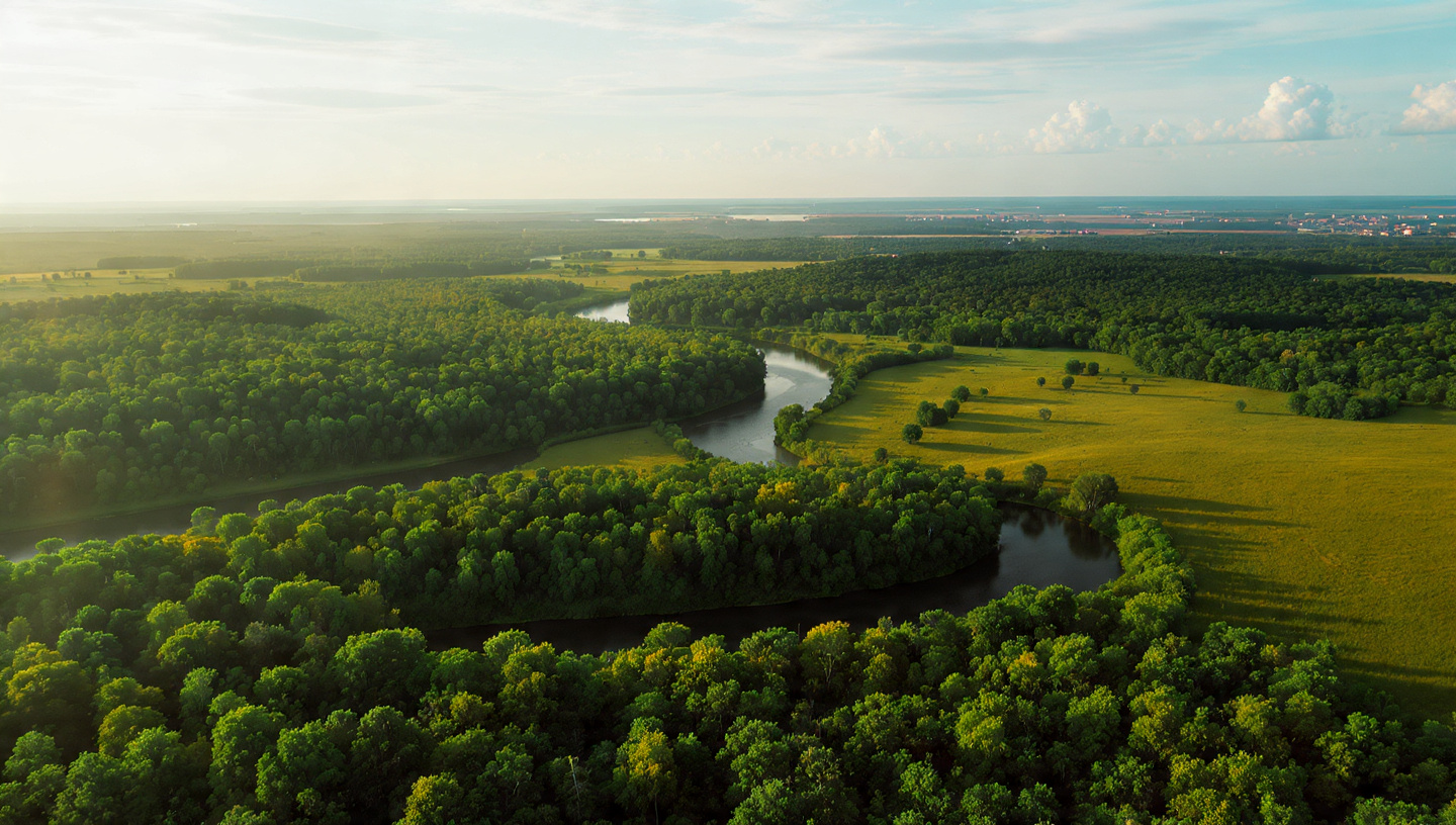 zachod_kampinos_e38d6a13.jpg